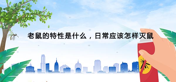 1615269423439397.jpg 46.jpg