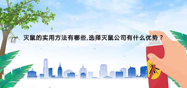 1615344609178538.jpg 47.jpg